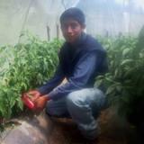 K-nilo Cosigua Saloj K-nilo Cosigua Saloj