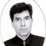 Raúl Del ángel González